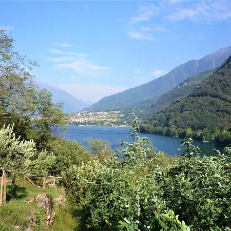 Rustico Degli Ulivi Spa 別荘 Olgiasca