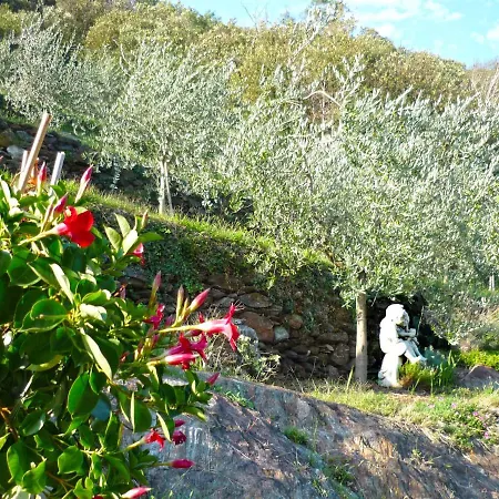 Rustico Degli Ulivi Spa 別荘 *